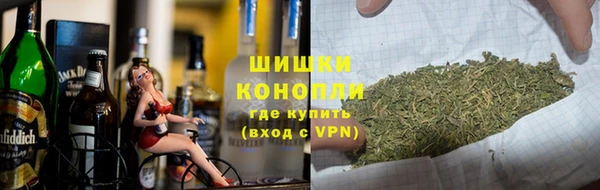 сатива Бабаево