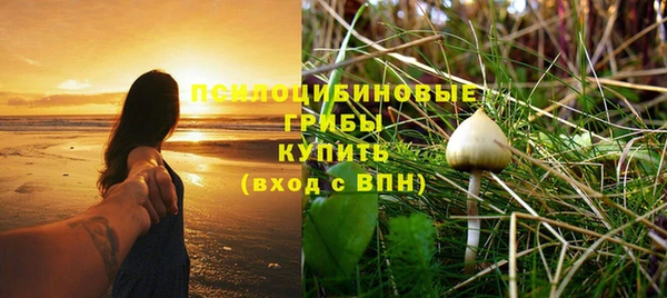 mdpv Волосово