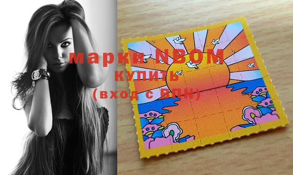 молекула духа Белая Холуница