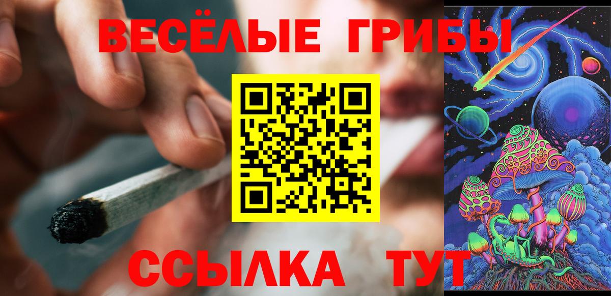 купить   Вятские Поляны  Галлюциногенные грибы прущие грибы 