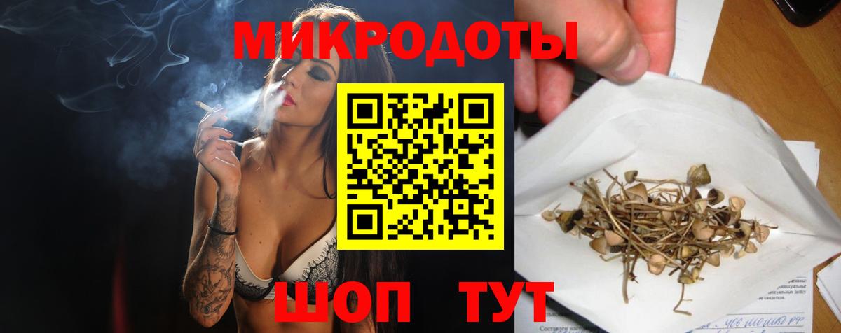 Псилоцибиновые грибы прущие грибы Вятские Поляны